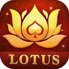 teen patti poker win download